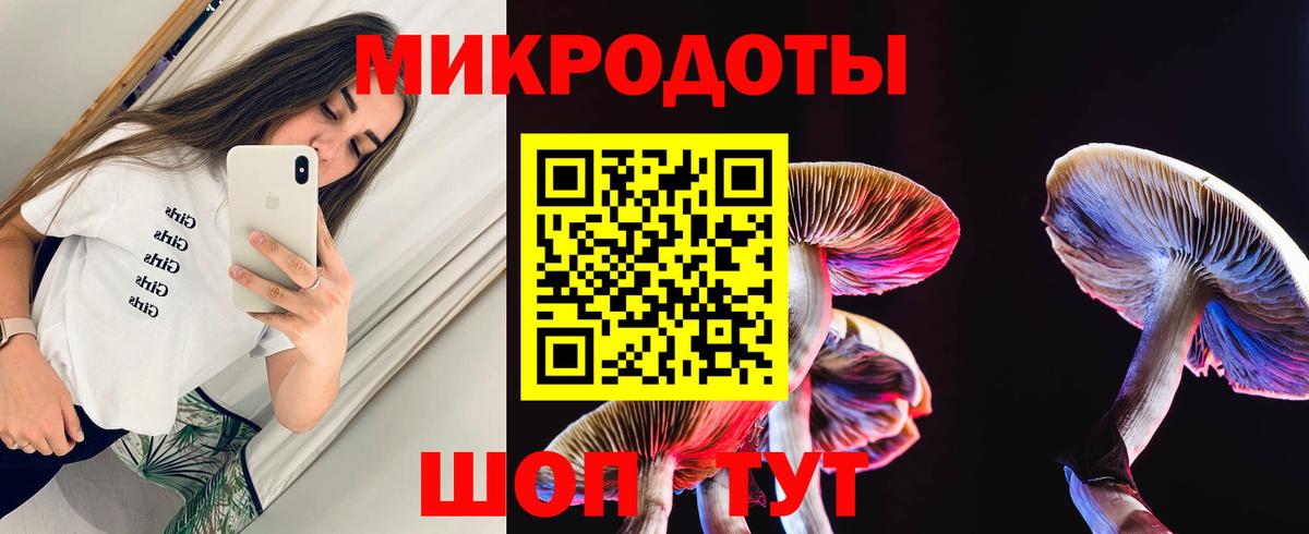 Галлюциногенные грибы прущие грибы  Галлюциногенные грибы Psilocybe  Вход с VPN  Протвино 
