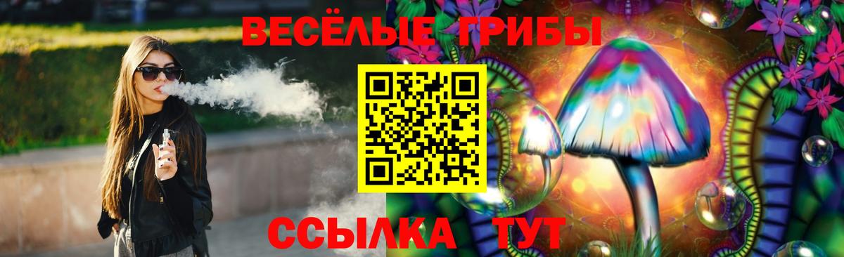Галлюциногенные грибы Cubensis Протвино